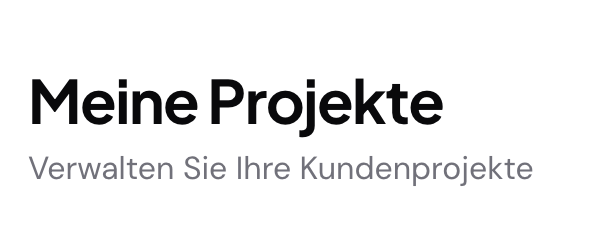 Visi.lu Dashboard mit Projektübersicht und Zeiteinträgen